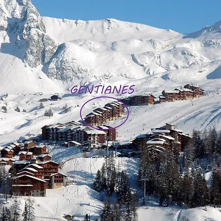 Διαμέρισμα Divisible 4 Pers, Vue Pistes, Plagne Villages - Fr-1-455-81 La Plagne