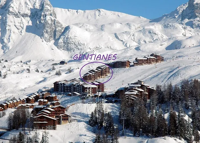 Διαμέρισμα Divisible 4 Pers, Vue Pistes, Plagne Villages - Fr-1-455-81 La Plagne